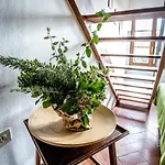 Tenuta Di - I Roggeti Apartment *