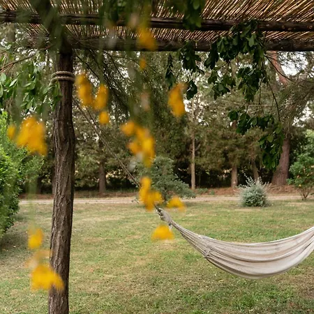 Tenuta Di Paganico - I Roggeti