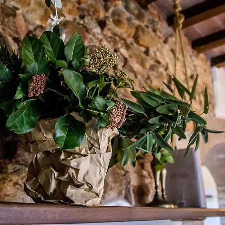 Apartment Tenuta Di Paganico - I Roggeti Paganico (Grosseto)