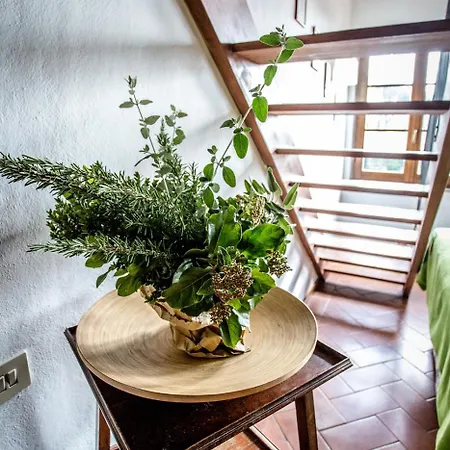 Tenuta Di - I Roggeti Lejlighed *