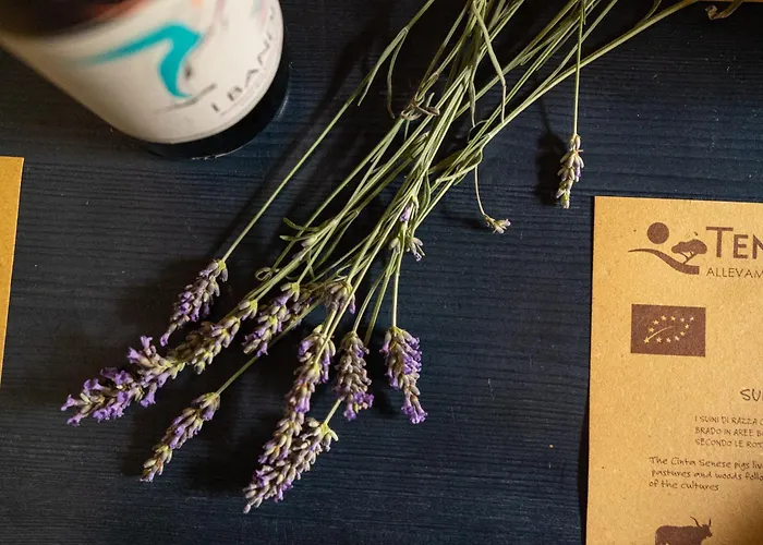 Tenuta Di - I Roggeti Apartament *