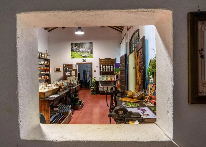 Tenuta Di - I Roggeti