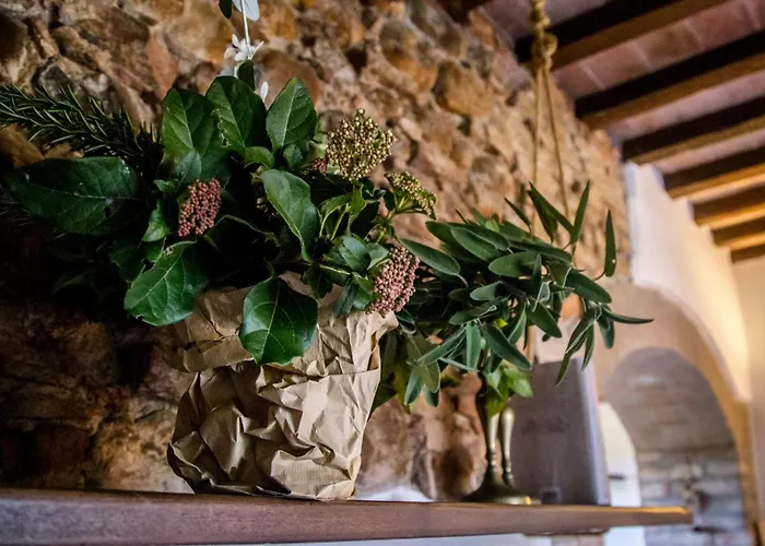 Apartament Tenuta Di - I Roggeti Paganico (Grosseto)