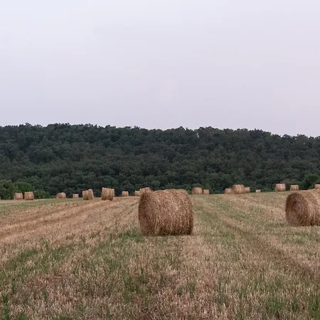 Διαμέρισμα Tenuta Di - I Roggeti
