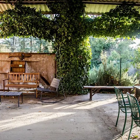 Διαμέρισμα Tenuta Di - I Roggeti Paganico (Grosseto)